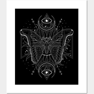 Attacus Atlas Moth | Sun & Moon Posters and Art